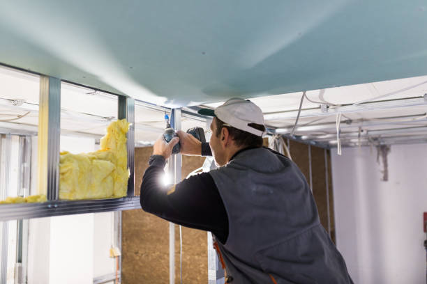 Eco-Friendly or Green Insulation Solutions in Elkins Park, PA